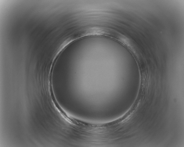 X0000066540802200603241410