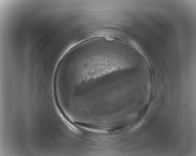 X0000066540803200603241410