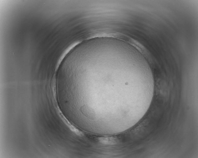 X0000066540804200603241410