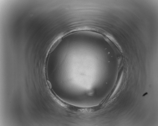 X0000066540805200603241410