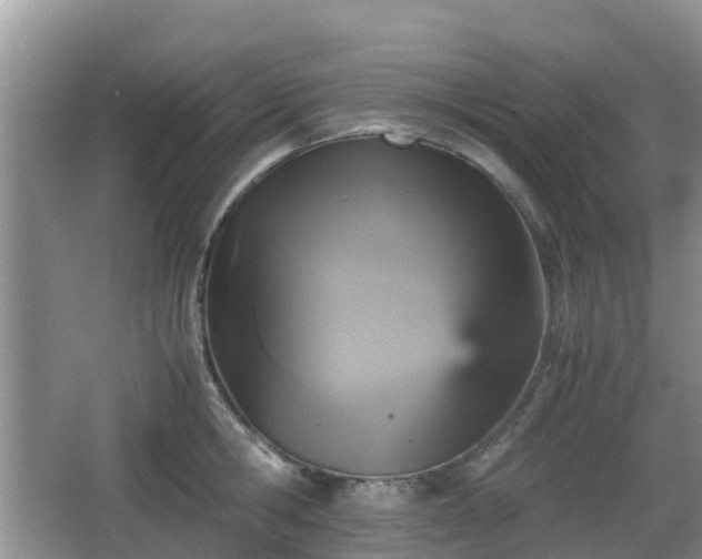 X0000066540806200603241410