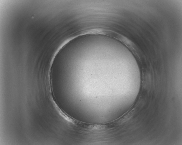 X0000066540808200603241410