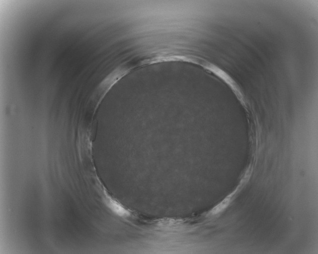 X0000066540809200603241409