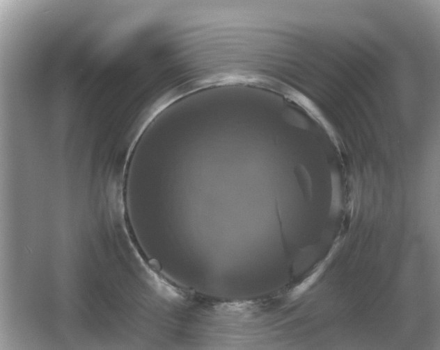 X0000066540810200603241409