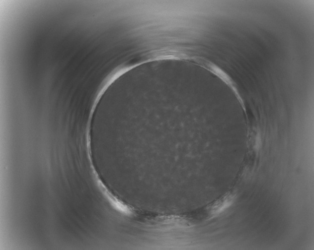 X0000066540811200603241409