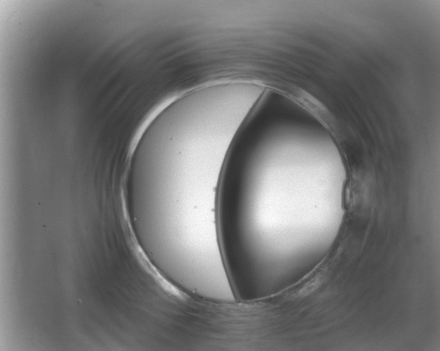 X0000066540812200603241409