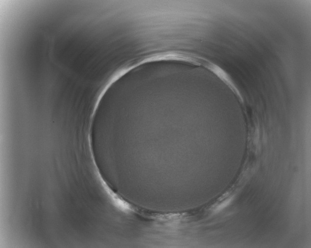 X0000066540813200603241409