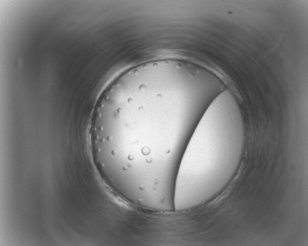 X0000066540814200603241409