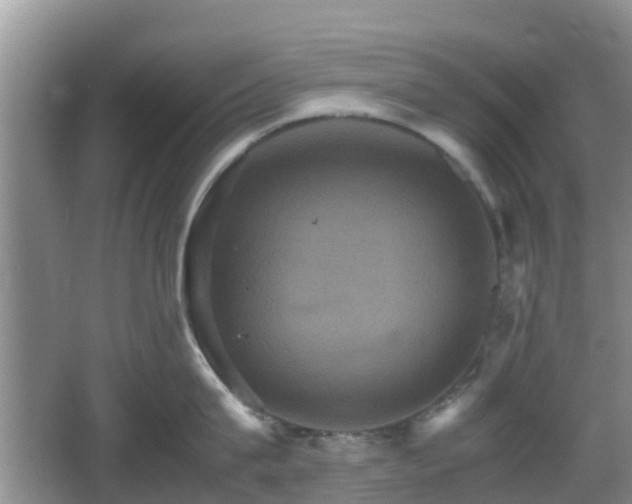 X0000066540815200603241409