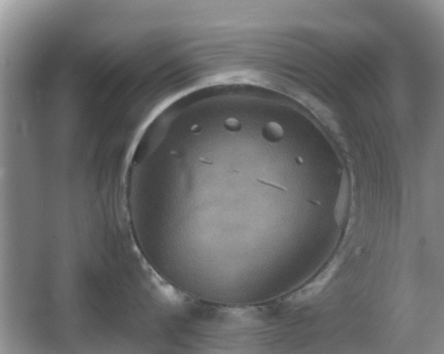 X0000066540816200603241409