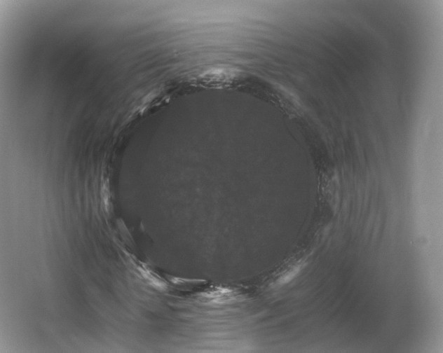 X0000066540818200603241409