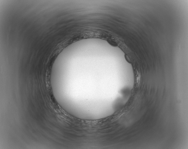 X0000066540819200603241409