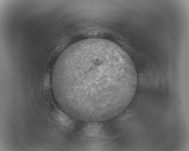 X0000066540820200603241409