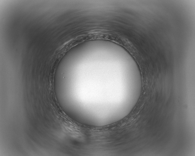 X0000066540821200603241409