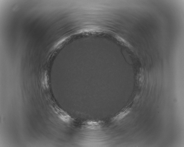 X0000066540822200603241409