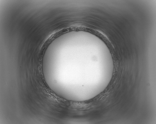 X0000066540823200603241409