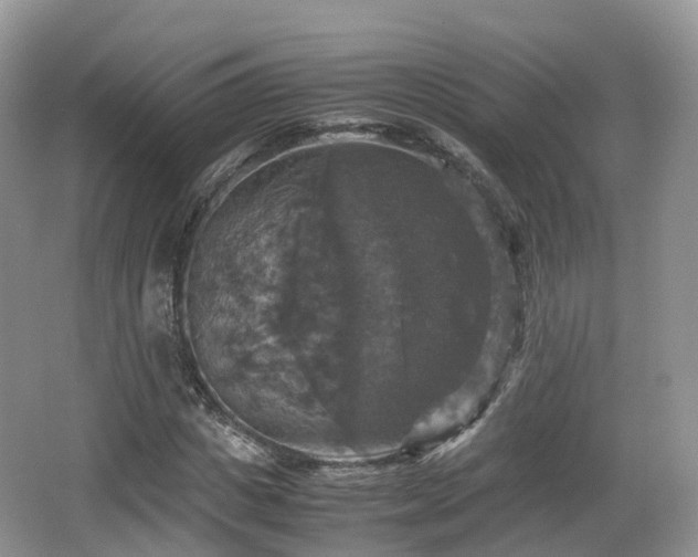 X0000066540825200603241409