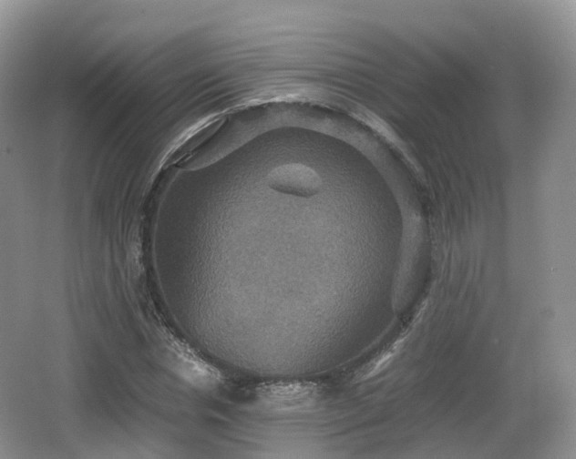 X0000066540826200603241409