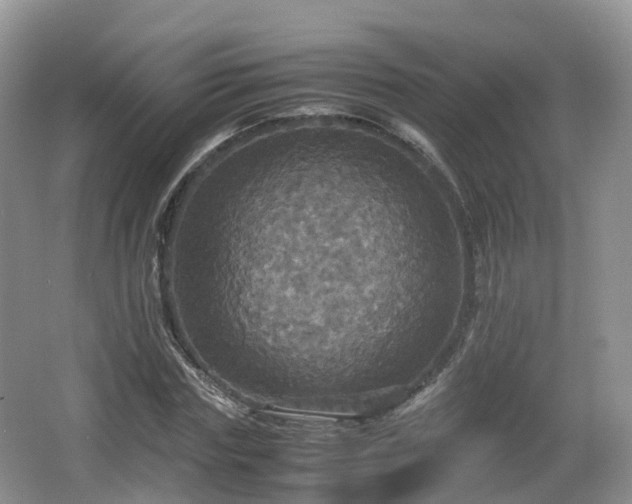 X0000066540827200603241409