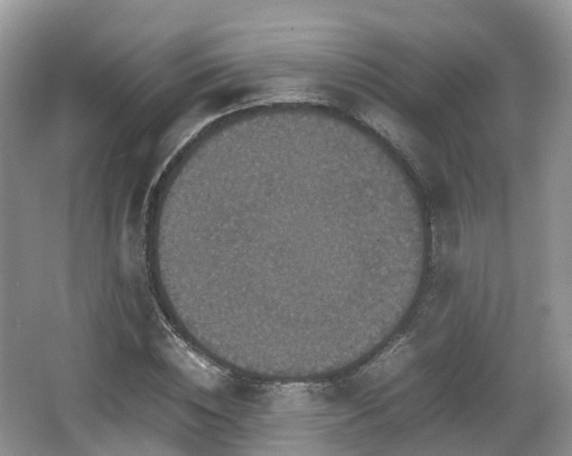 X0000066540828200603241409