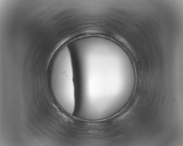 X0000066540829200603241409