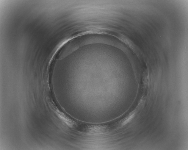 X0000066540830200603241409