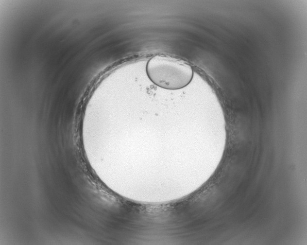 X0000066540832200603241409