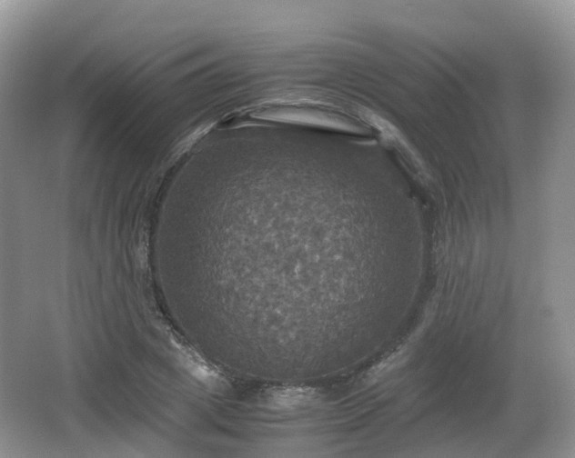 X0000066540833200603241409