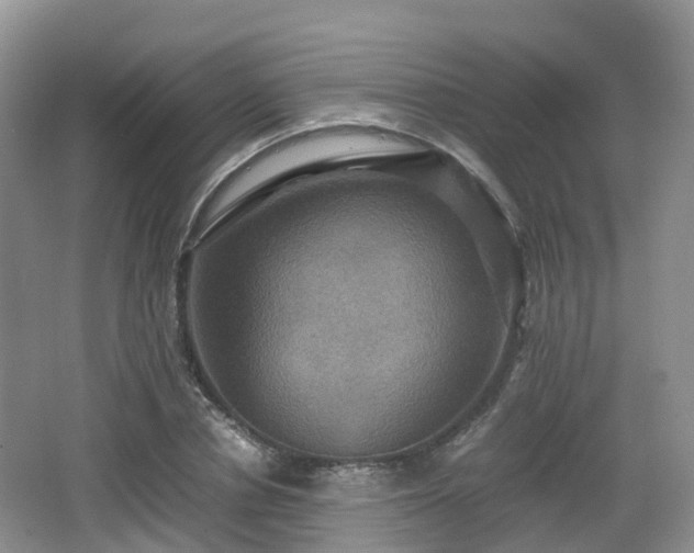 X0000066540834200603241409