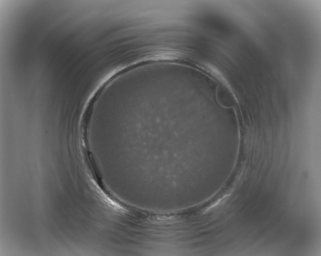 X0000066540835200603241409