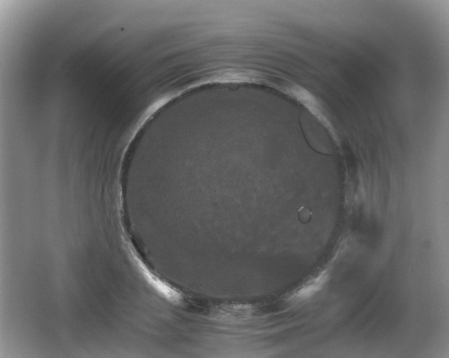 X0000066540837200603241409