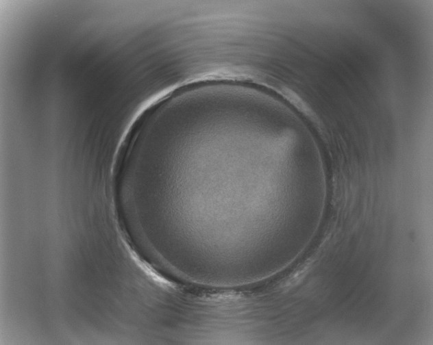 X0000066540838200603241409