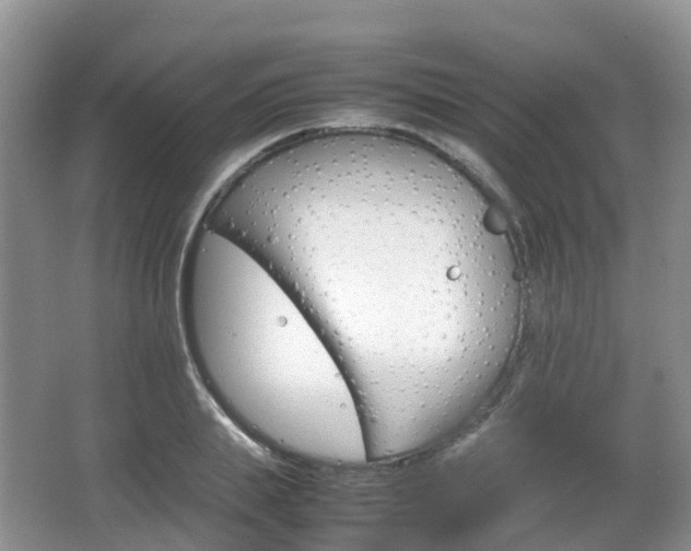 X0000066540839200603241409