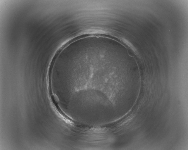 X0000066540840200603241409