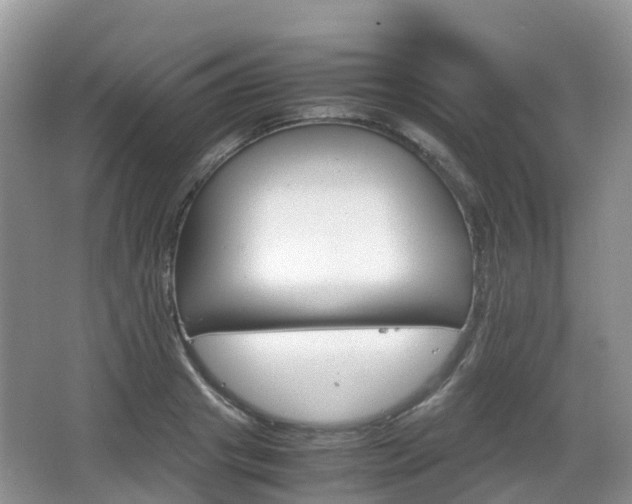 X0000066540841200603241409