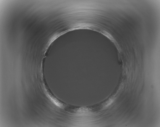 X0000066540842200603241409