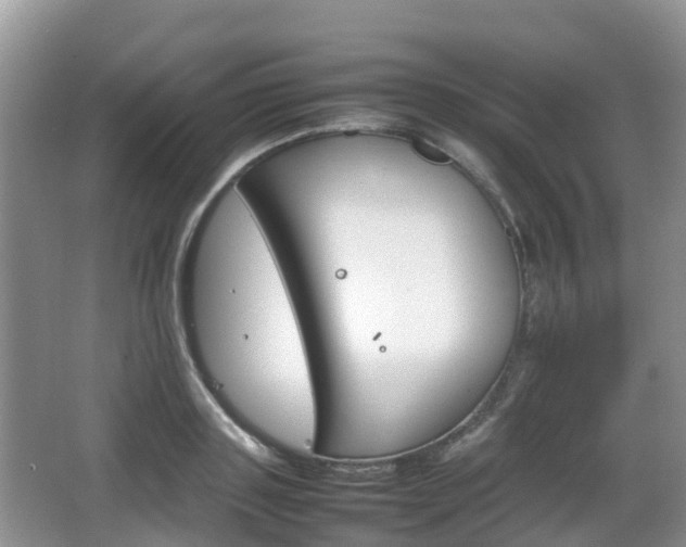 X0000066540843200603241409