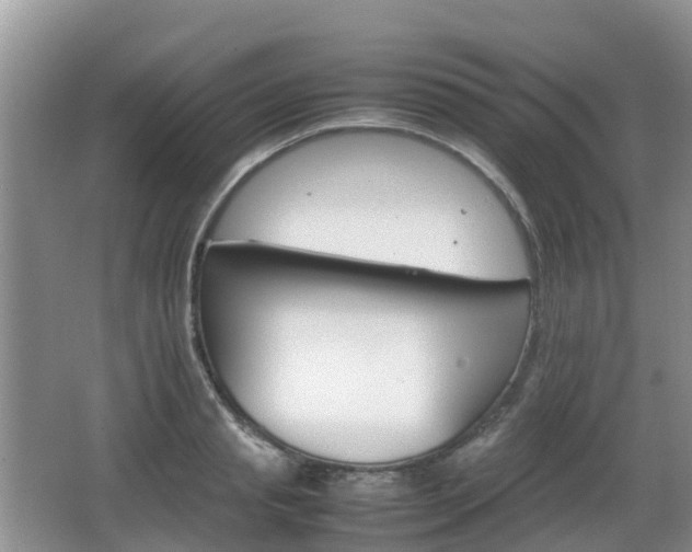 X0000066540845200603241409