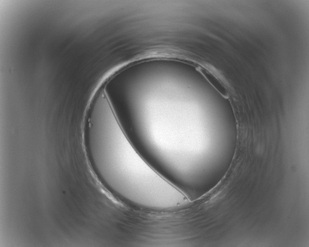 X0000066540846200603241409