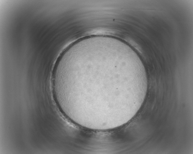 X0000066540848200603241409