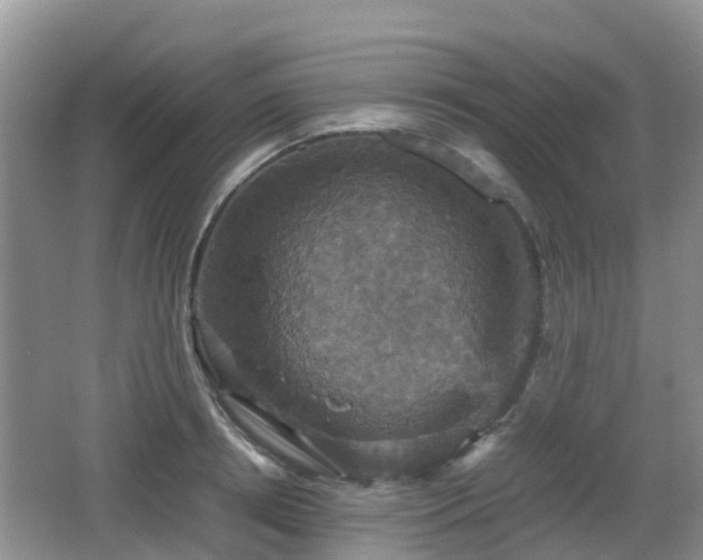 X0000066540850200603241409