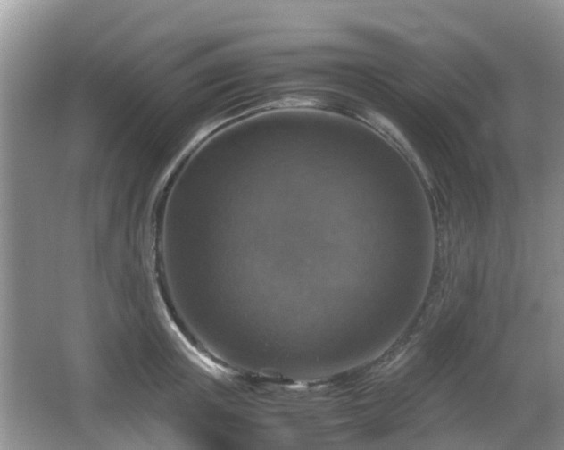 X0000066540851200603241409