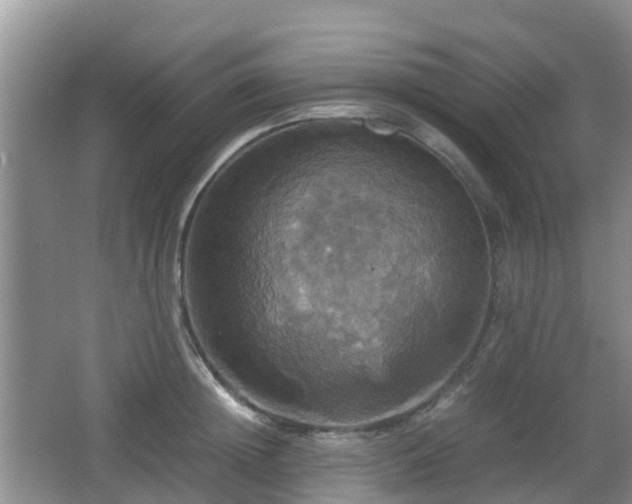 X0000066540852200603241409