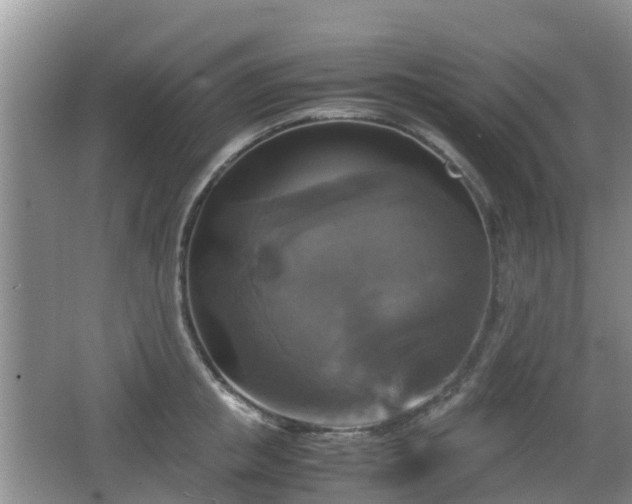 X0000066540853200603241409