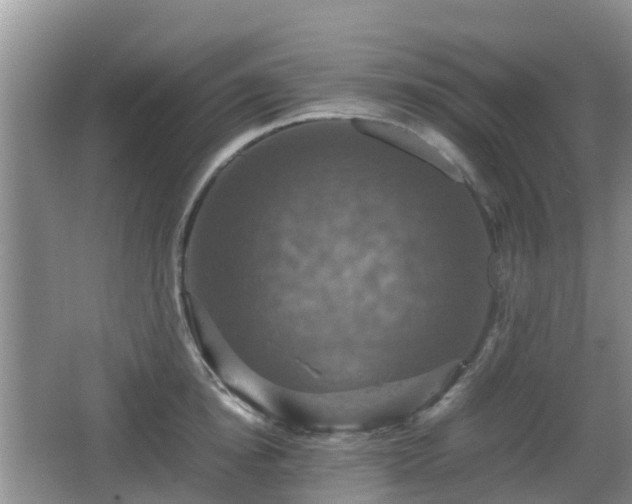 X0000066540854200603241409