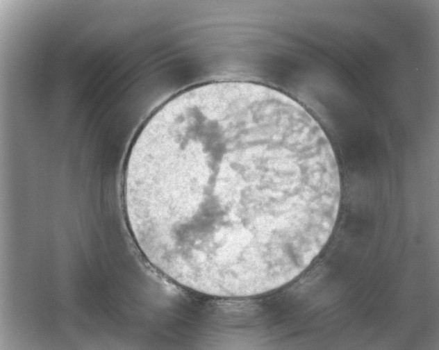 X0000066540856200603241409