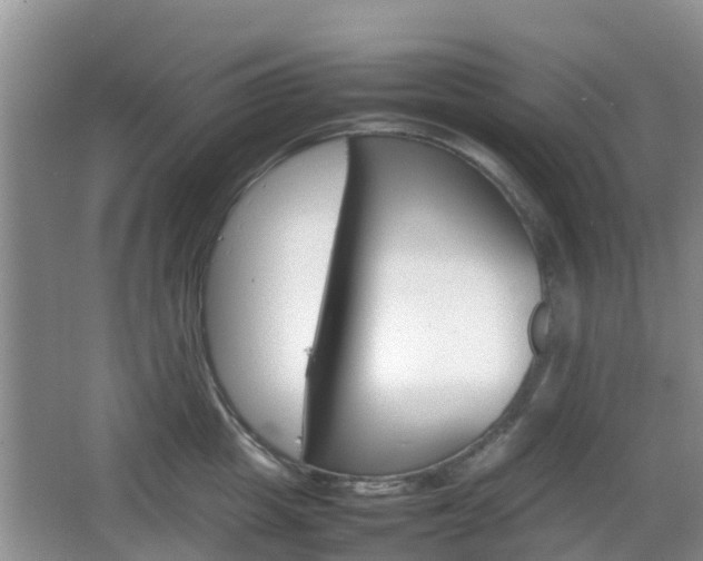 X0000066540857200603241409