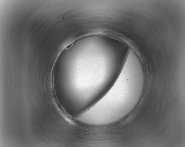 X0000066540858200603241409