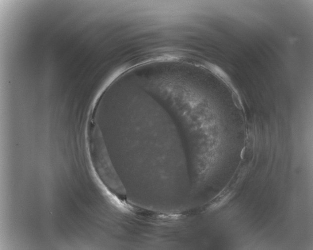 X0000066540859200603241409