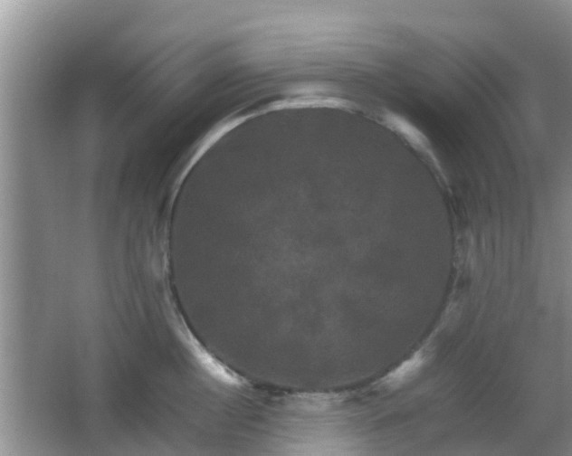 X0000066540860200603241409